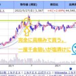 日経平均3万3000円突破記念。初心者が欲まみれのままに株に手を出してどうなったかご報告。