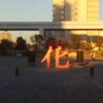 女子の医学部人気と女子枠。