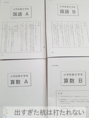 新６年生の子の春休み 全国学力テストの過去問は解いておくべき 出すぎた杭は打たれない